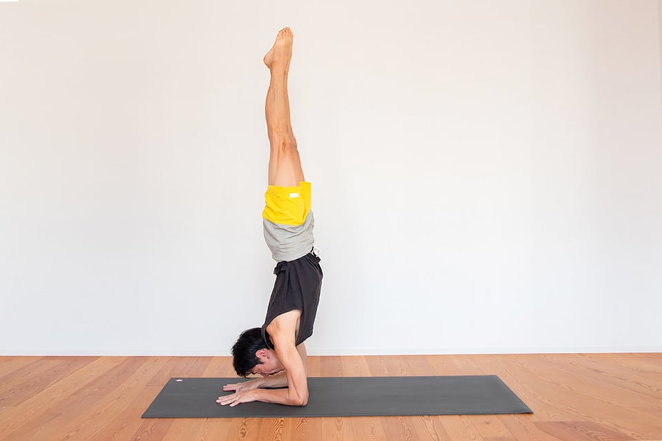 イベント開催】エリカ健康道場 presents みんなでヨガ in SFC